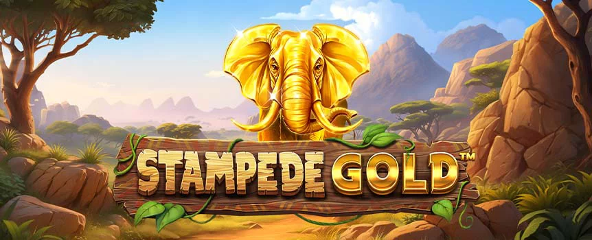 Über Stampede Gold von bsg bei Infinity Casino